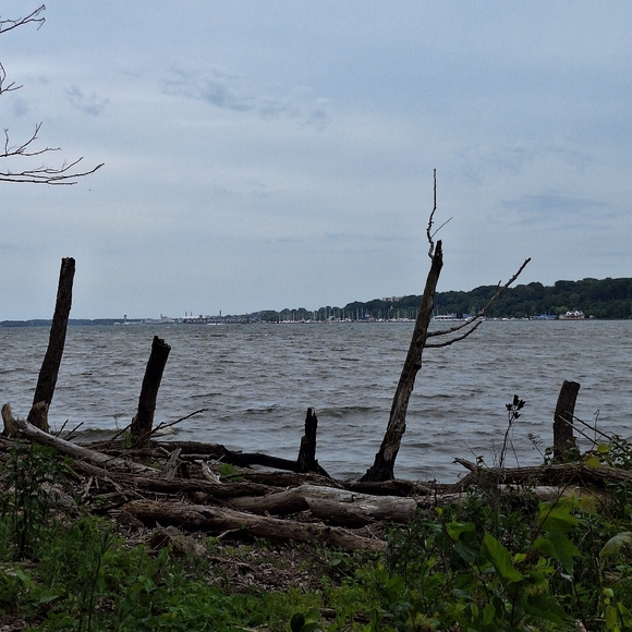 Meet Your Posher ❤️🧡💛💚💙🩵💜🖤🤎🩵🩷🤍 - Picture 13 of 16